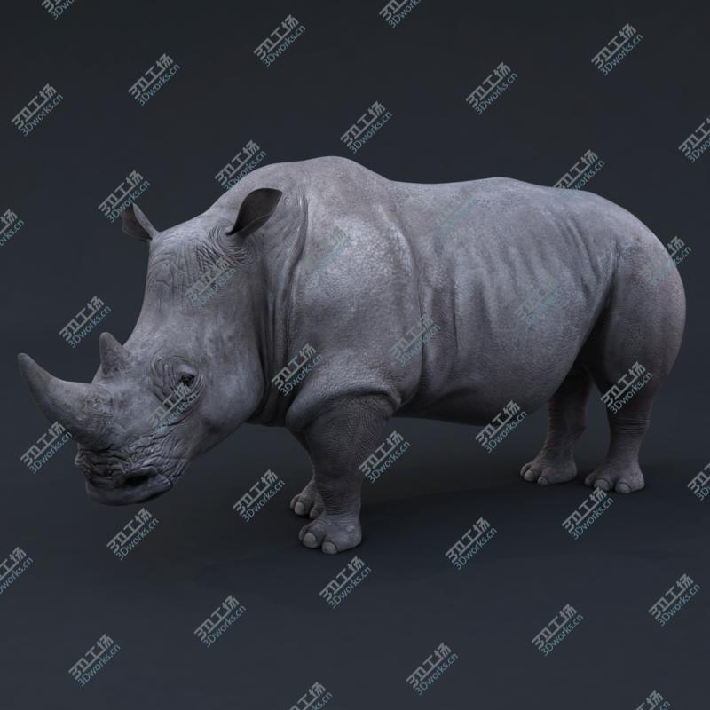 images/goods_img/2021040161/Rhino RIGGED/3.jpg